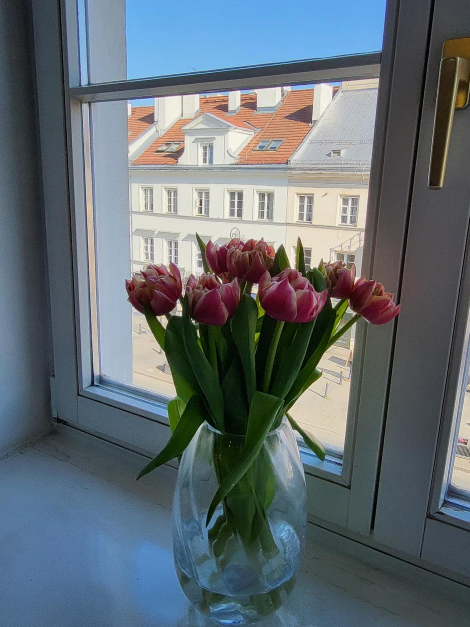 Novo Mundo Apartment Warsaw Ngoại thất bức ảnh